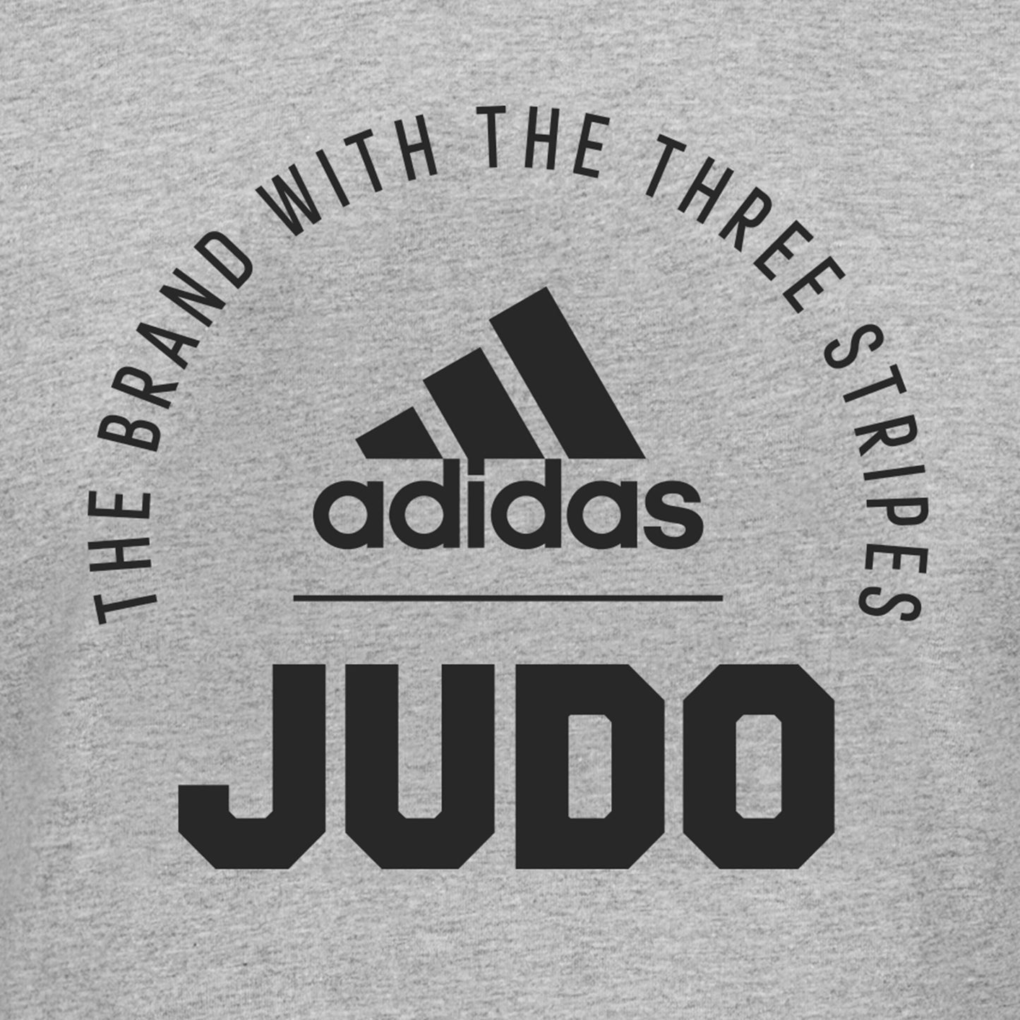 Clts21 J Adidas Judo T Shirt Grey 04